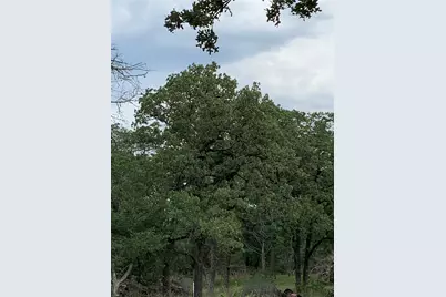 276 Ott Road, Rosanky, TX 78953 - Photo 17