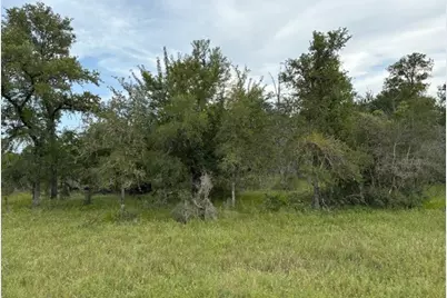 Lot #1 Willis Ln Lane, Smithville, TX 78957 - Photo 5