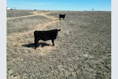 2238 County Road 2109, Lometa, TX 76853 - Photo 23