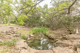 10905 W Cave Blvd, Dripping Springs, TX 78620 - Photo 33