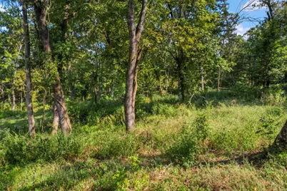 79-80 Lake Oaks Circle, Coldspring, TX 77331 - Photo 7