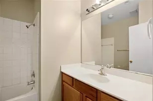 250 Marvin Cove, Hutto, TX 78634 - Photo 19