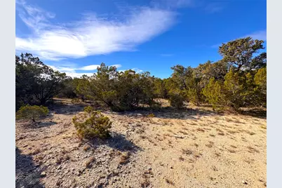 985 Oblate Dr Drive, Canyon Lake, TX 78133 - Photo 11