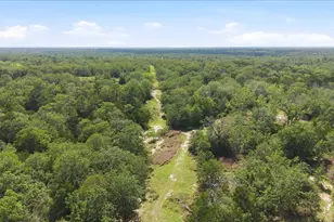 1705 Makinson Rd, West Point, TX 78963 - Photo 37