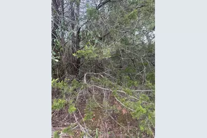 223 Mokulua Lane, Bastrop, TX 78602 - Photo 1