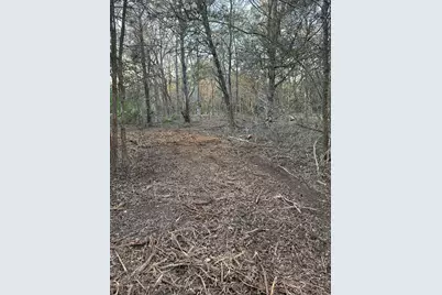 303 Fm 609 Road, Flatonia, TX 78941 - Photo 13