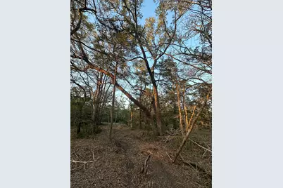 303 Fm 609 Road, Flatonia, TX 78941 - Photo 15