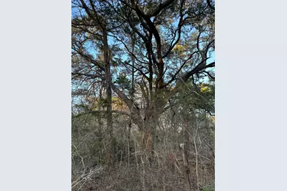 303 Fm 609 Road, Flatonia, TX 78941 - Photo 11