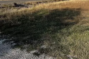 126 County Road 153 Roads, Georgetown, TX 78626 - Photo 11