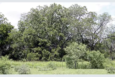 9411 Fm 86 Highway, Lockhart, TX 78644 - Photo 13