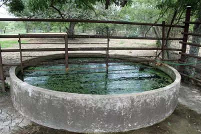 9411 Fm 86 Highway, Lockhart, TX 78644 - Photo 7