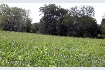 9411 Fm 86 Highway, Lockhart, TX 78644 - Photo 9