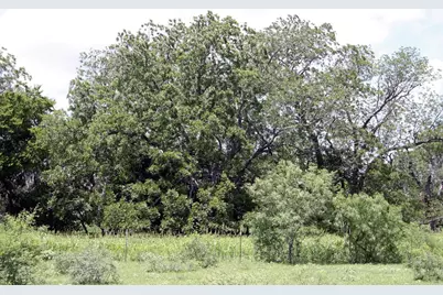 9411 Fm 86 Highway, Lockhart, TX 78644 - Photo 13