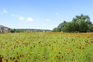 114 Hazelnut Ct, Driftwood, TX 78619 - Photo 29