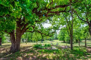 298 Jenkins Rd, Cedar Creek, TX 78612 - Photo 9