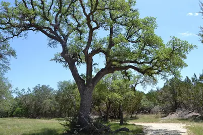 560 Longview Road, Dripping Springs, TX 78620 - Photo 37