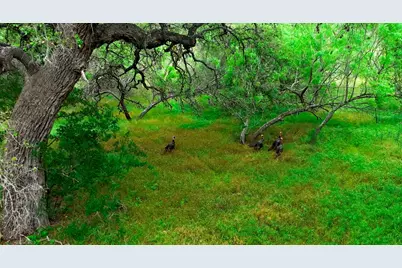 1718 Paradise Parkway, Canyon Lake, TX 78133 - Photo 25