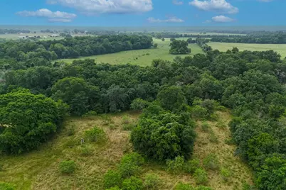 645 Jerrys Creek, Lockhart, TX 78644 - Photo 5