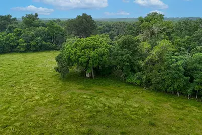 645 Jerrys Creek, Lockhart, TX 78644 - Photo 3