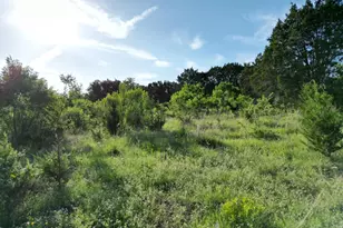 Lot 46 Serenity Dr, Bertram, TX 78605 - Photo 3