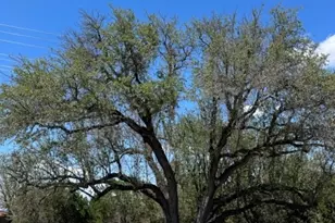 20703 High Dr, Lago Vista, TX 78645 - Photo 1