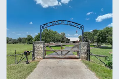 3514 Fm 3509, Burnet, TX 78611 - Photo 5