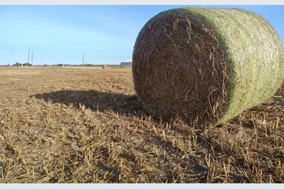 3001 Dolphin Drive, Coupland, TX 78615 - Photo 9