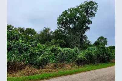 446 Riverside Drive, Bastrop, TX 78602 - Photo 3