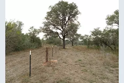 251 Lefty Lane Lane, Goliad, TX 77963 - Photo 3