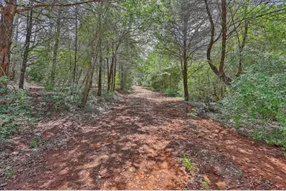 1368 County Road 207, Giddings, TX 78942 - Photo 29