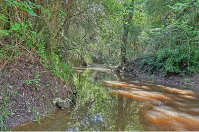 1368 County Road 207, Giddings, TX 78942 - Photo 19