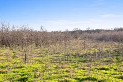 2801 County Road 436, Thrall, TX 76578 - Photo 19