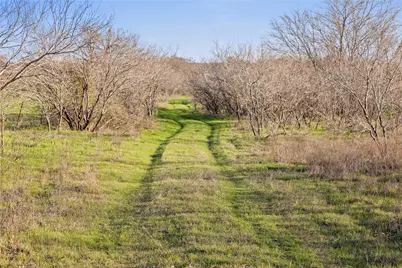 2801 County Road 436, Thrall, TX 76578 - Photo 13