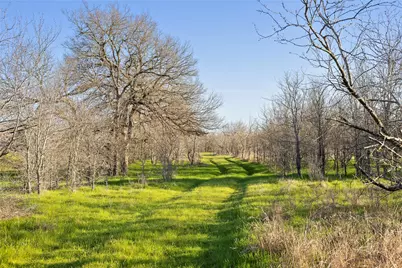 2801 County Road 436, Thrall, TX 76578 - Photo 15
