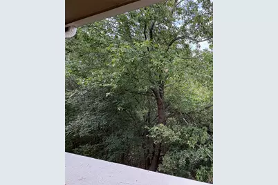 16100 S Great Oaks Drive #4101, Round Rock, TX 78681 - Photo 11
