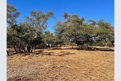 422 Patricia Road, Georgetown, TX 78628 - Photo 3