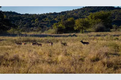 7702 Ranch Road 965, Llano, TX 78624 - Photo 3