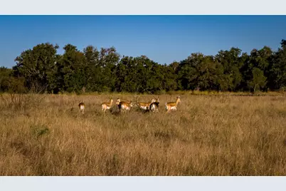 7702 Ranch Road 965, Llano, TX 78624 - Photo 25