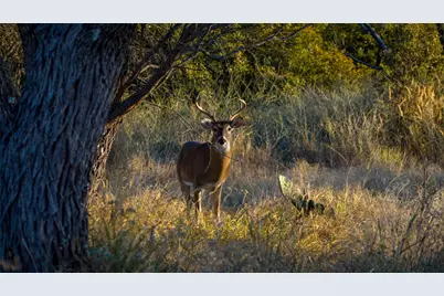 7702 Ranch Road 965, Llano, TX 78624 - Photo 29