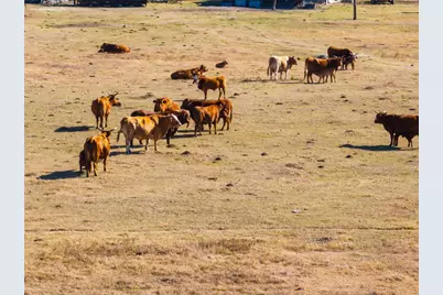 2927 County Road 302, Bartlett, TX 76511 - Photo 7