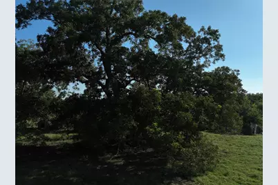 Tbd Lot 2 Randermann Road, Brenham, TX 77833 - Photo 1