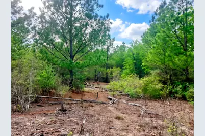 000 Ponderosa Loop, Paige, TX 78602 - Photo 17