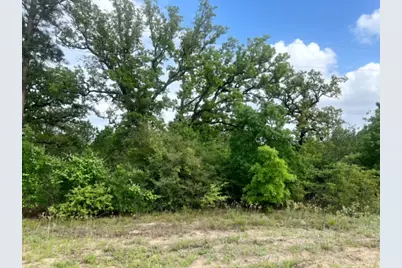 000 Ponderosa Loop, Paige, TX 78602 - Photo 11
