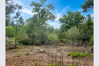 000 Ponderosa Loop Loop, Paige, TX 78602 - Photo 15