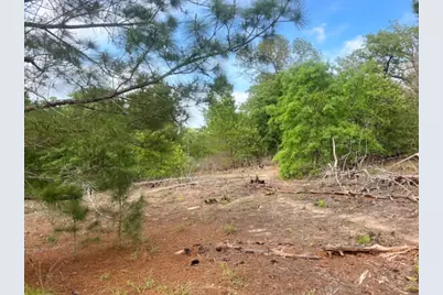 000 Ponderosa Loop, Paige, TX 78602 - Photo 9