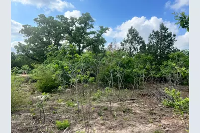 000 Ponderosa Loop Loop, Paige, TX 78602 - Photo 7