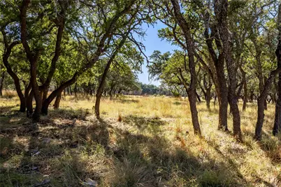 Tbd Legacy Oaks Drive, Harper, TX 78631 - Photo 3
