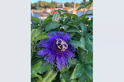 [Address not provided], Burnet, TX 78611 - Photo 37