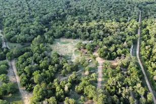 1085 Private Rd 3063, Lexington, TX 78947 - Photo 3