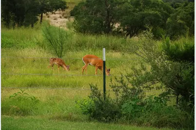 12516 Wire Road, Leander, TX 78641 - Photo 31